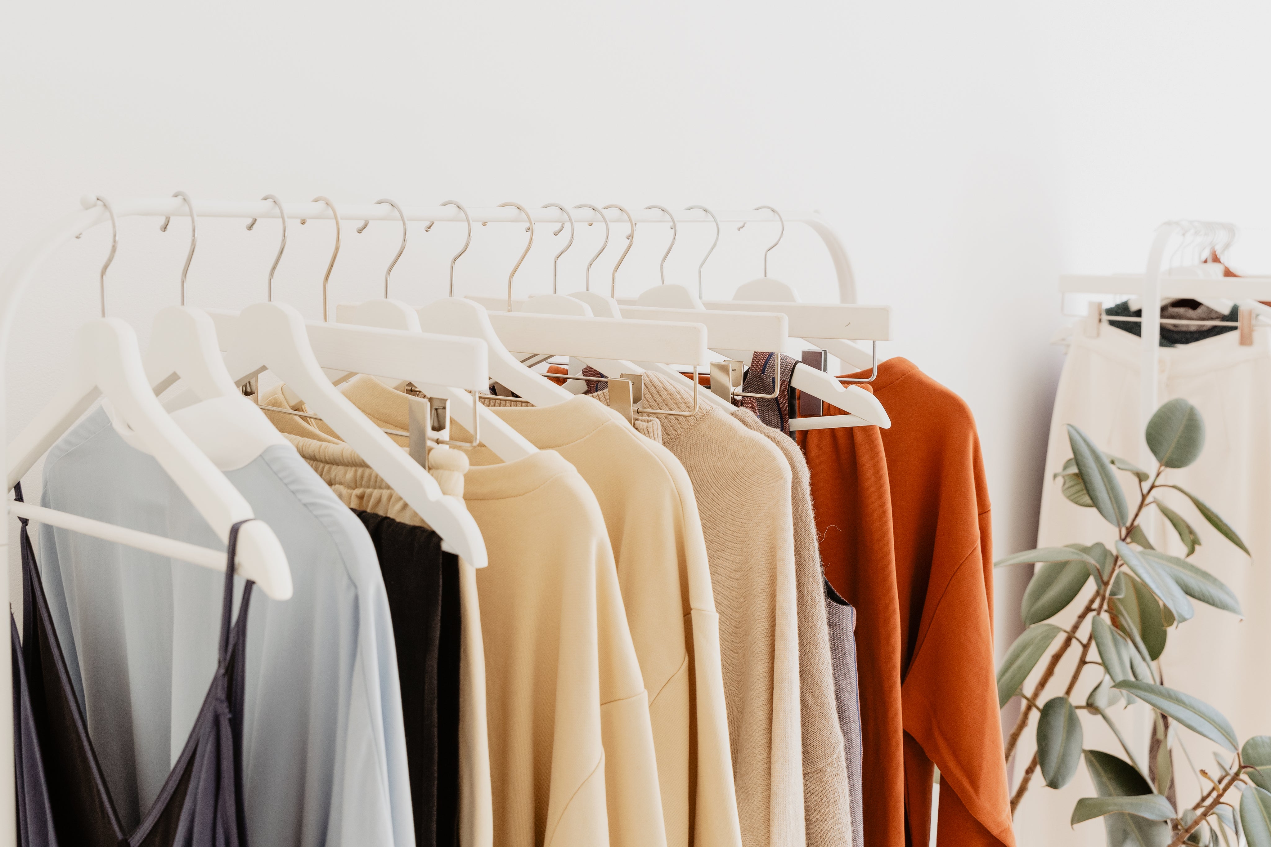 Collections – Cotn Collection